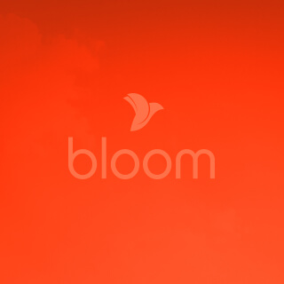 Bloom featured image rollover